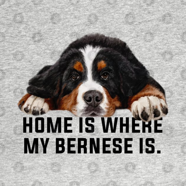 Bernese mountain dog by Bernesemountaindogstuff